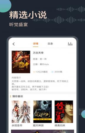 恋听网听书(2)