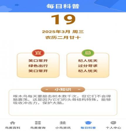 小鸟合不停(1)