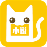 老猫小说初始版