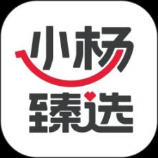 小杨臻选