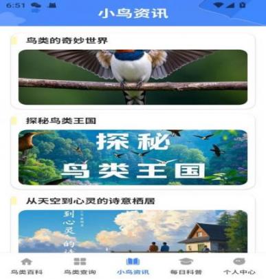 小鸟合不停(2)