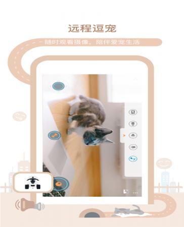 多尼斯喂食器(1)