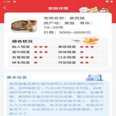 樱桃壁纸(3)
