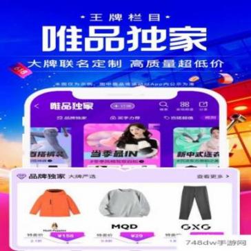 唯品会关怀版(5)