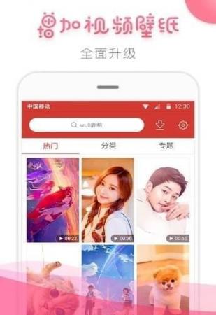 桔子壁纸(1)