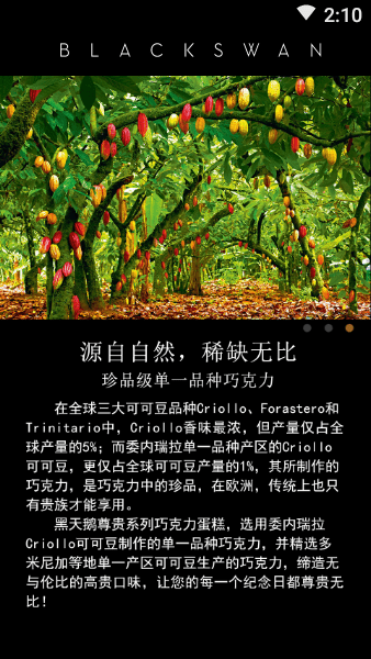 黑天鹅外卖(2)