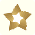 星有东东
